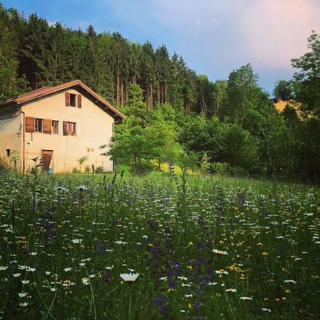 Alla Casetta B&B Cesiomaggiore Dış mekan fotoğraf