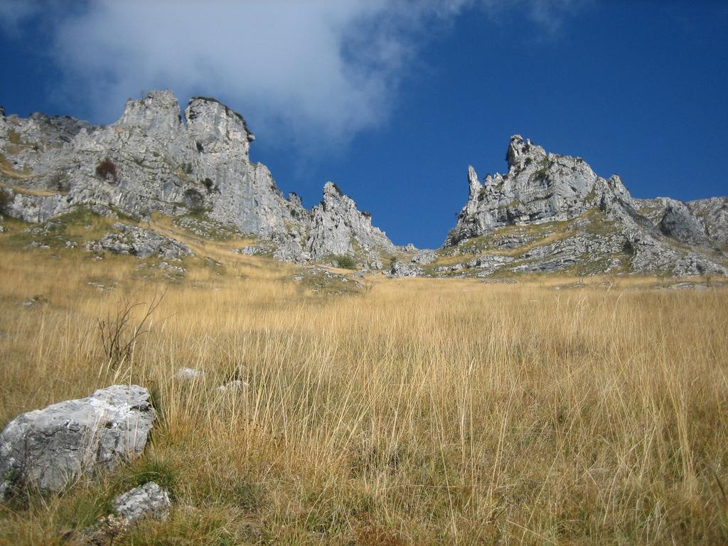 Alla Casetta B&B Cesiomaggiore Dış mekan fotoğraf