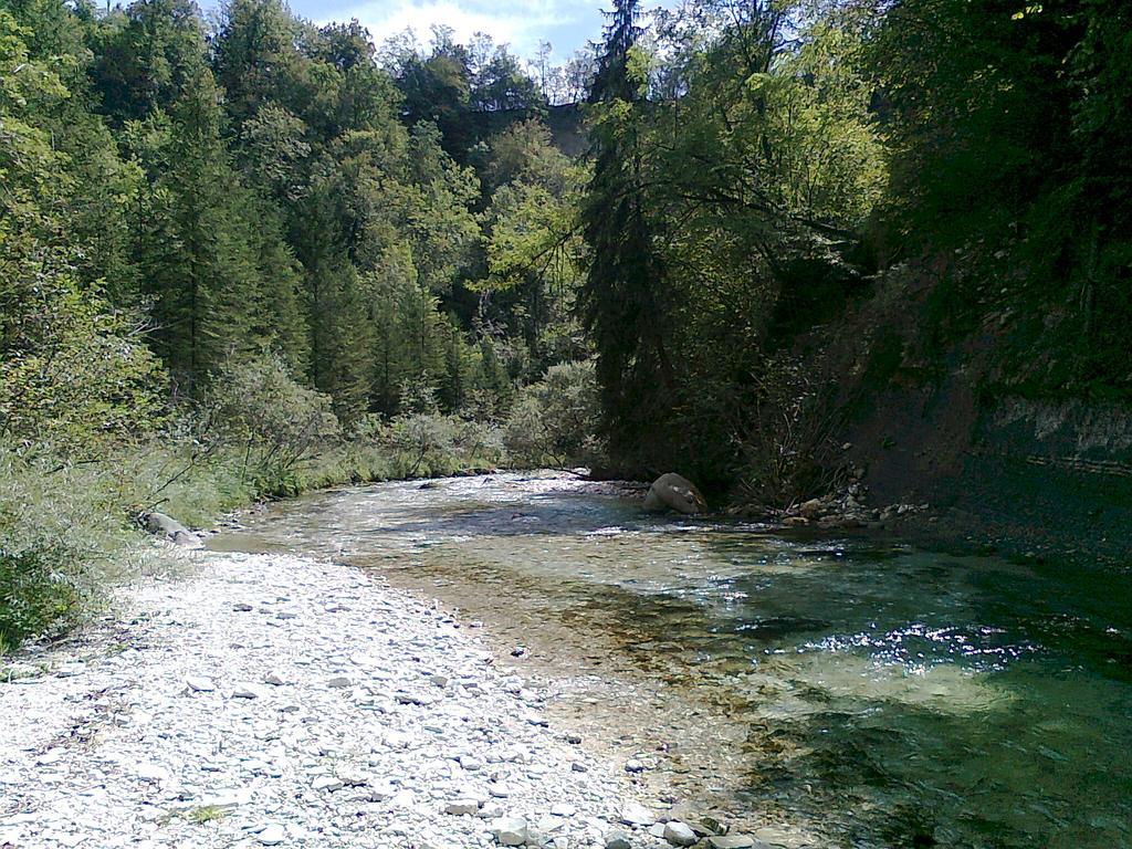 Alla Casetta B&B Cesiomaggiore Dış mekan fotoğraf